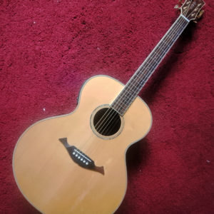 CORT NTL Jumbo electro-acoustic guitar