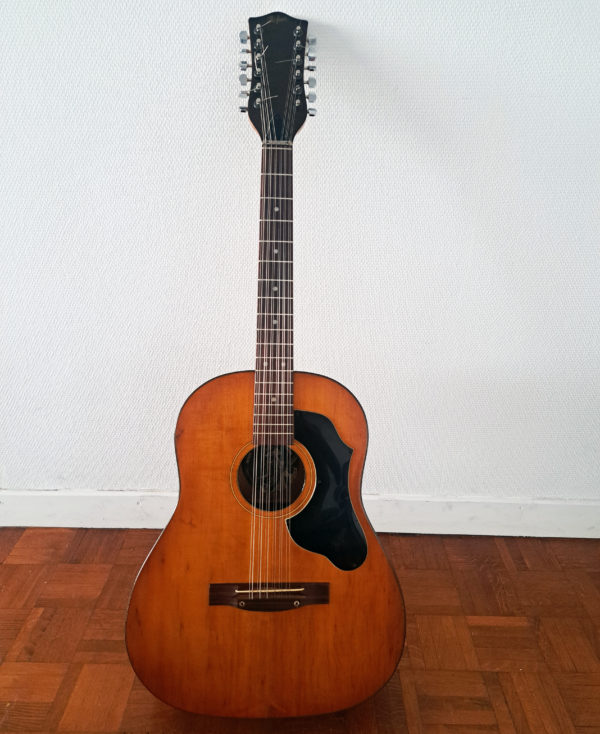 HOFNER-guitarefolk-12Cordes